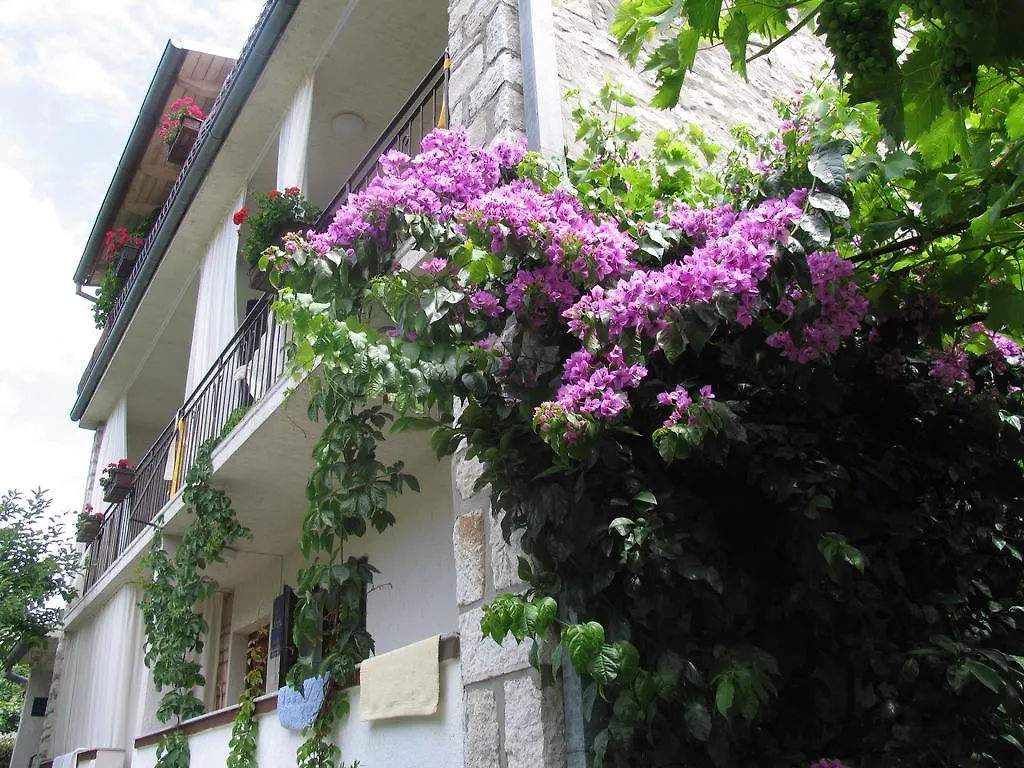 Bed & Breakfast B&B Damian Rovinj